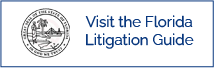 The Florida Litigation Guide